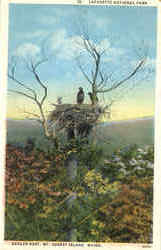 Eagles Nest, Lafayette National Park Postcard