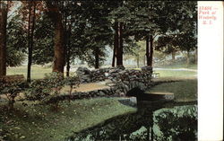 View in Park Postcard