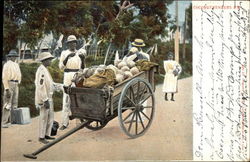 Coconut Vendors Postcard