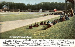 The Oval Worcester, MA Postcard Postcard