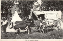 The Ox and Cow Team - Ezra Meeker Postcard