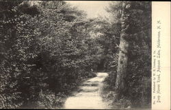 Deep Haven Road, Asquam Lake Postcard