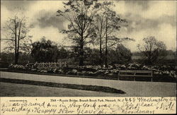 Branch Brook Park - Rustic Bridge Postcard