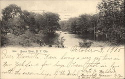 Bronx River New York, NY Postcard Postcard