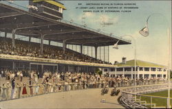 St.Petersburg Kennel Club - Derby Lane, Greyhound Racing Postcard