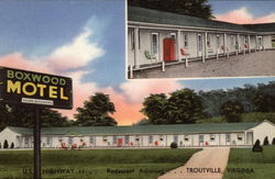 Boxwood Motel US Highway 11 Troutville, VA Postcard Postcard