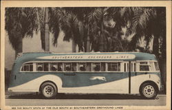 See the Beauty Spots of the Old South by Southeastern Greyhound Lines Postcard