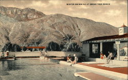 Winter Swimming at Smoke Tree Ranch Postcard