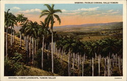 Cuban Landscape, Yumuri Valley Havana, Cuba Postcard Postcard