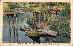 Transporting Bananas Costa Rica Central America Postcard Postcard