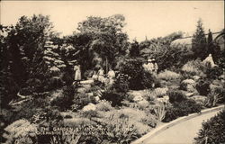 View of the Garden, St. Anthony's Shrine Postcard