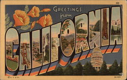 Greetings from California Postcard Postcard