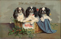 With New Year Greetings, Best Wishes Postcard