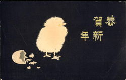 Japanese - A Chick out of the Egg-Shell Postcard