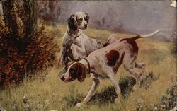 Two Pointers Hunting Dogs Postcard Postcard