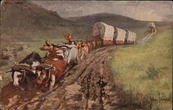 Bull Train Postcard