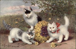 Three Kittens Playing with Flowers Postcard