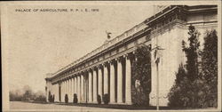 Palace of Agriculture, P.P.I.E., 1915 1915 Panama-Pacific Exposition Postcard Postcard