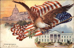 Eagle and American Flag, White House and Capitol Postcard