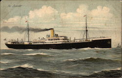 D Cassel Steamers Postcard Postcard