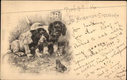 The Season's Greetings - Puppies with Frog Dogs Postcard Postcard