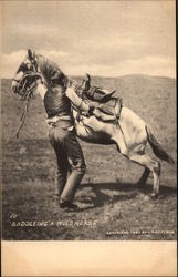 Saddleing a Wild Horse Cowboy Western Postcard Postcard