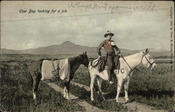 Cow Boy Looking for a Job Postcard