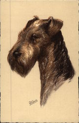 Airedale Terrier Dogs Postcard Postcard