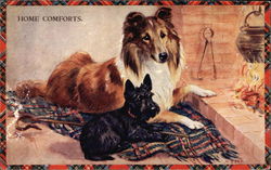 Home Comforts Dogs Postcard Postcard