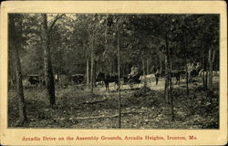 Arcadia Drive on the Assembly Grounds, Arcadia Heights Postcard