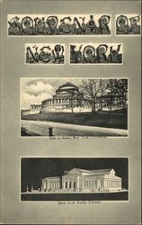 Souvenir of New York Postcard