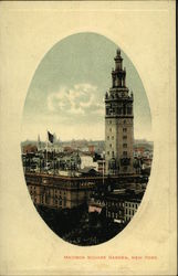 Madison Square Garden Postcard