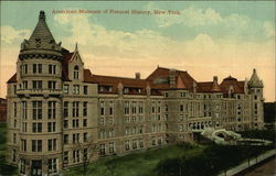 American Museum of Natural HIstory Postcard