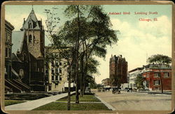 Ashland Boulevard, Looking North Postcard