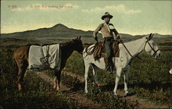 Cow Boy Looking for a Job Postcard