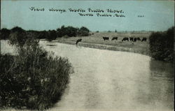 View Along North Platte River Nebraska Postcard Postcard