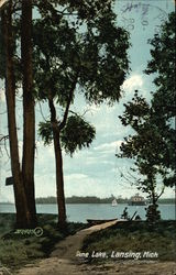 Pine Lake Lansing, MI Postcard Postcard