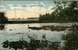 Lake Manitou - Lily Pads Postcard