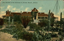 University of Arizona - Main Building Postcard