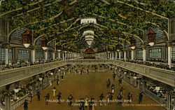 Palace of Joy, Dance Hall and Skating Rink Coney Island, NY Postcard Postcard