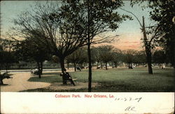 View of Coliseum Park Postcard