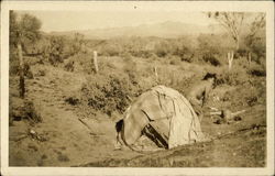 Indian Sweat Lodge Native Americana Postcard Postcard