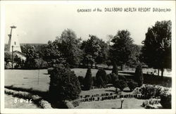 Dillsboro Health Resort - Grounds Postcard