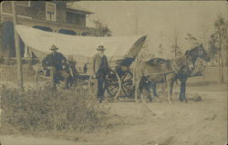 Horse and Mule Pulling A Covered Wagon Horses Postcard Postcard