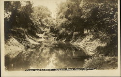 Water Scene, Recent Park Postcard