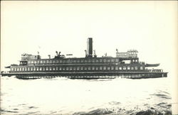 The San Leandro Steamers Postcard Postcard