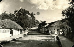 Los Alkededores de C. Valles Mexico Postcard Postcard