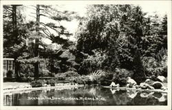 The Dow Gardens Midland, MI Postcard Postcard