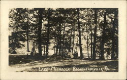 Lake Minneola Postcard