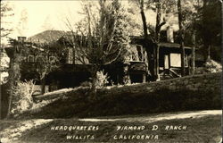 Diamond D Ranch - Headquarters Postcard